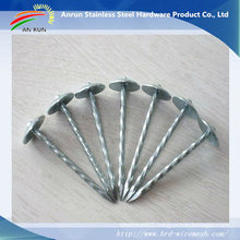 Stainless Steel Roofing Nails with Plastic Washer